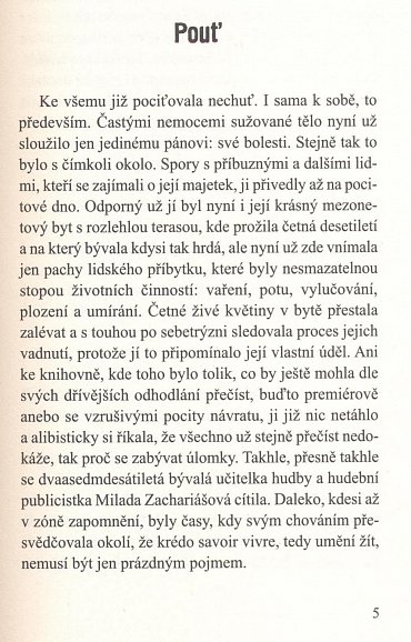 Náhled Pokus o uchopení vánku