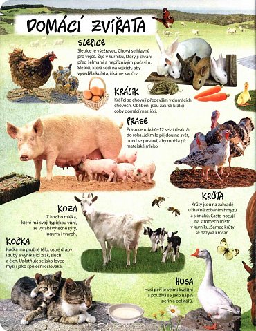 Náhled Svět zvířat, 1.  vydání