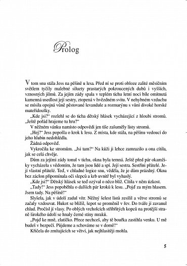 Náhled Údolí havranů, 2.  vydání