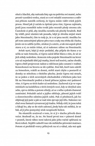 Náhled Půl žlutého slunce, 2.  vydání