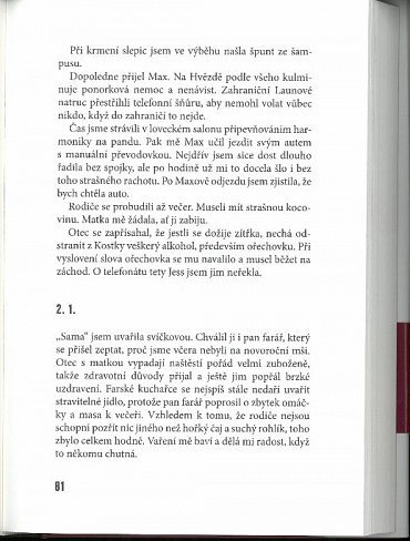 Náhled Poslední aristokratka