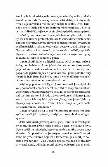 Náhled Půl žlutého slunce, 2.  vydání