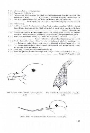 Náhled Ptáci 1 - Fauna ČR