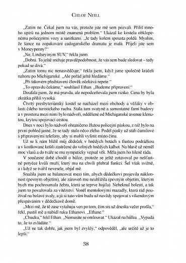 Náhled Upíři z Chicaga 10 - Krvavé hry