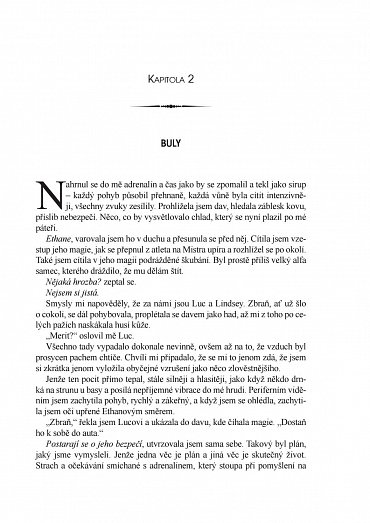 Náhled Upíři z Chicaga 10 - Krvavé hry