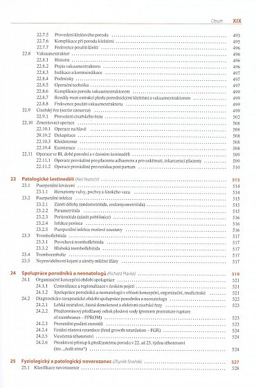 Náhled Moderní porodnictví