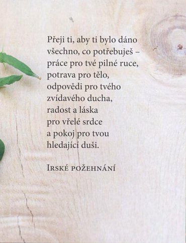 Náhled Co ti ze srdce přeji