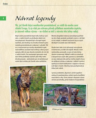 Náhled Vlci - Na toulkách s fotografem zvířat Axelem Gomillem