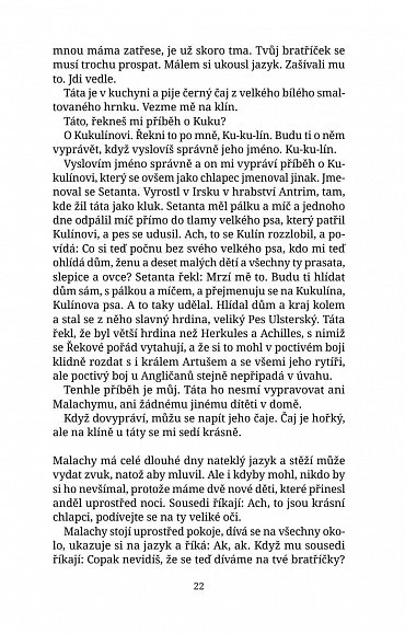 Náhled Andělin popel, 3.  vydání