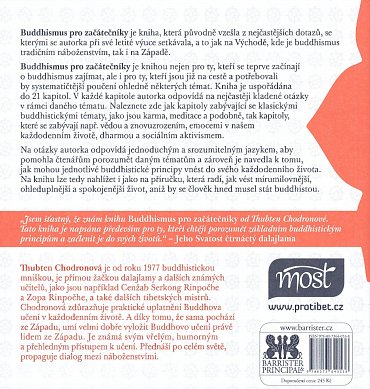 Náhled Buddhismus pro začátečníky