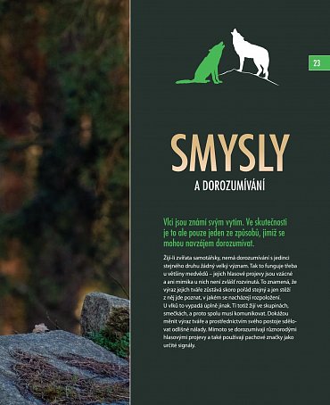 Náhled Vlci - Na toulkách s fotografem zvířat Axelem Gomillem