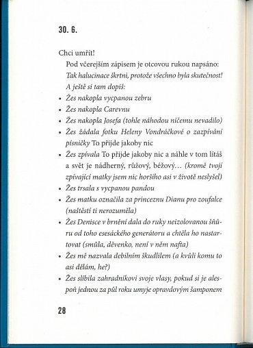 Náhled Aristokratka na koni