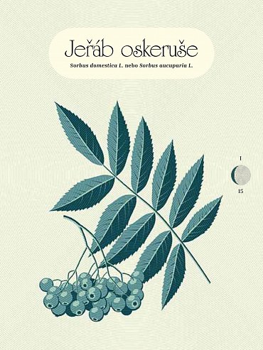 Náhled Fáze Měsíce