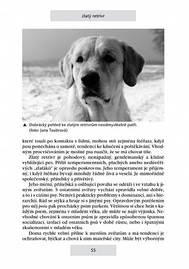 Náhled Retrívři a vodní psi