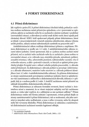 Náhled Zákaz diskriminace v pracovněprávních vztazích