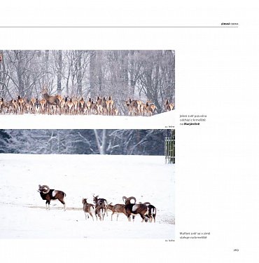 Náhled Lánská obora v proměnách času