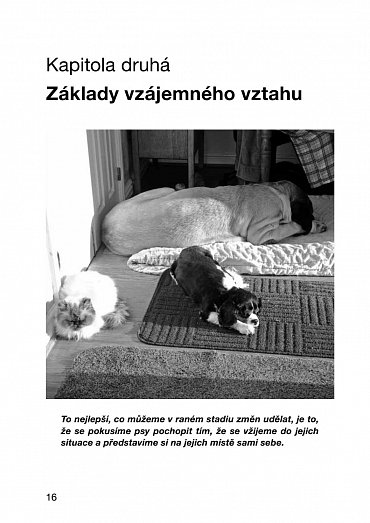 Náhled Jak porozumět řeči psího těla aneb Naučte se komunikovat jako pes