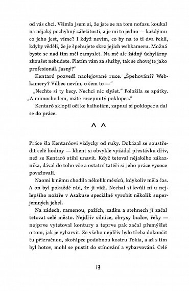 Náhled Kočka a město