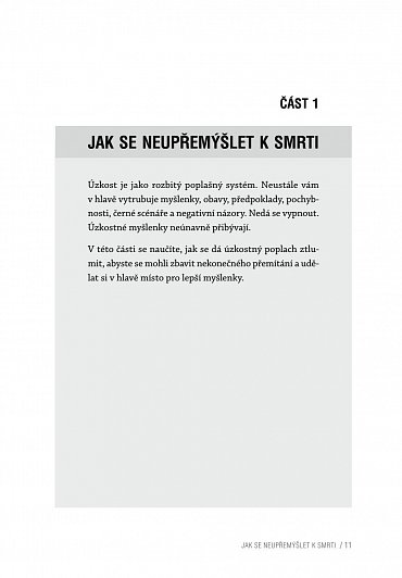 Náhled 101 pravidel, jak zastavit úzkost - Získejte znovu kontrolu nad životem, který chcete žít