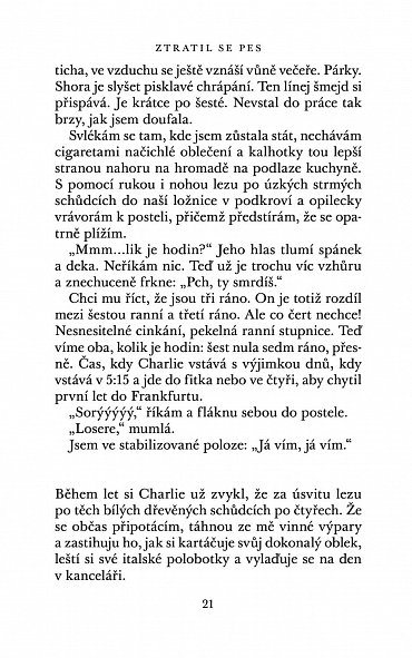 Náhled Ztratil se pes