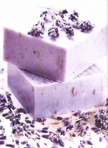 Náhled Levandule - Recepty, návody a tipy pro pěstování, výrobu domácí kosmetiky, tvoření dekorací a vaření s levandulí