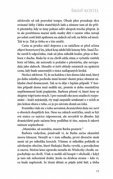 Náhled Šikmý kostel - Románová kronika ztraceného města, léta 1894-1921