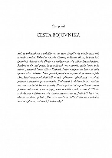 Náhled Usmívej se na strach - Probuzení skutečného srdce statečnosti