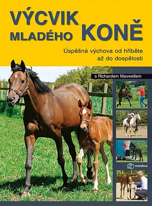 Výchova mladého koně