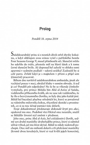 Náhled Pod černou vlajkou