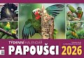 Kalendář 2026 Papoušci - stolní, týdenní