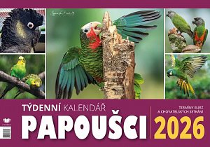 Kalendář 2026 Papoušci - stolní, týdenní