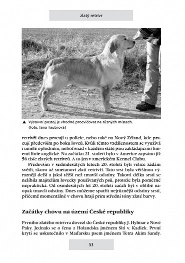 Náhled Retrívři a vodní psi