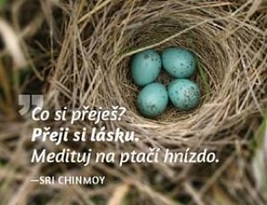 Magnet na lednici - Co si přeješ? Přeji si lásku. Medituj na ptačí hnízdo.