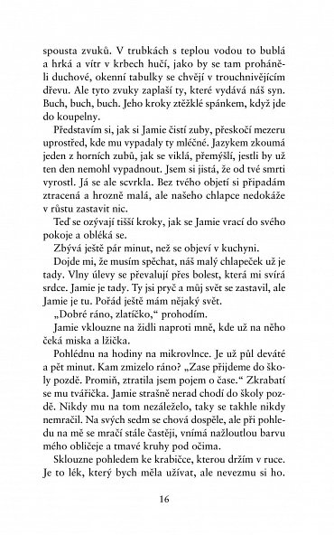 Náhled Dokonalá zrada