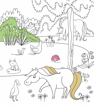 Náhled Koně a poníci