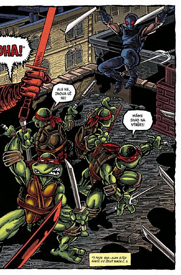 Náhled Želvy Ninja - Menu číslo 2