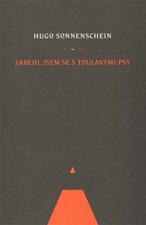 Zaběhl jsem se s toulavými psy