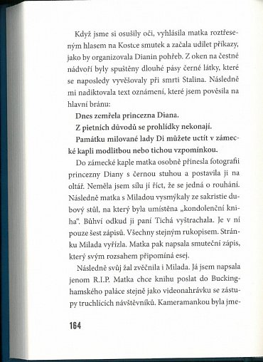 Náhled Aristokratka na koni