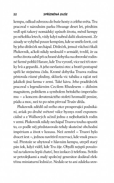 Náhled Spřízněná duše