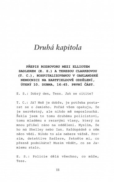 Náhled Dokonalá zrada