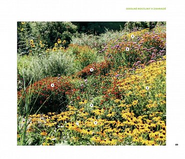 Náhled Stateční v zahradě - Péče o rostliny při extrémech počasí