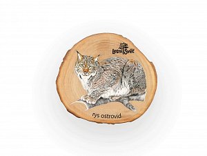 Magnet letokruh - Rys