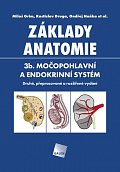 Základy anatomie. 3b - Močopohlavní a endokrinní systém