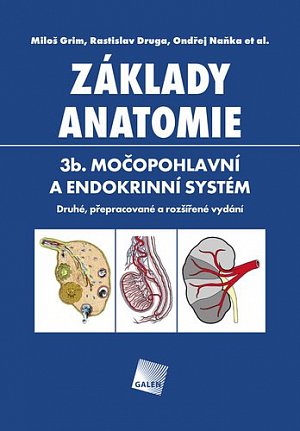 Základy anatomie. 3b - Močopohlavní a endokrinní systém