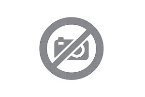 Dějiny a současnost 7/2015: Druhý muž ve státě? Favorité na dvorech Habsburků v raném novověku