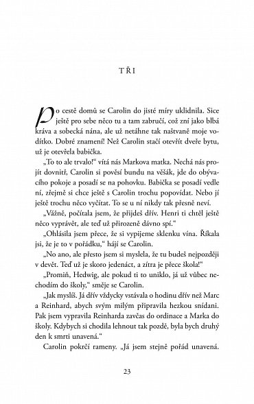 Náhled Jezevčíkovo štěstí