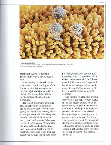 Náhled Svět - Největší tajemství planety Země