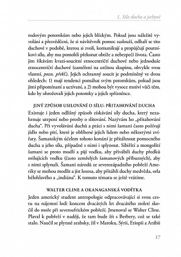 Náhled Jeskyně a kosmos - Šamanská setkání s jinou realitou