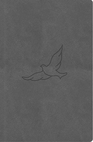 Bible, překlad 21. století (pepřová) - kapesní