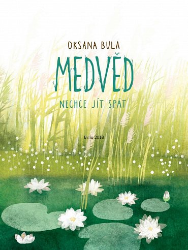 Náhled Medvěd nechce jít spát